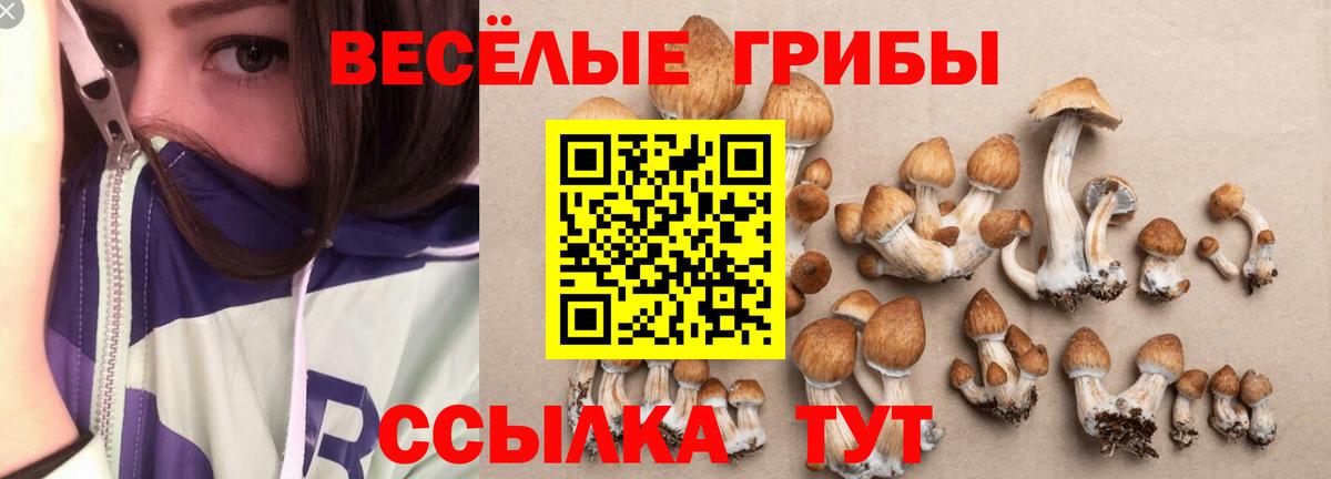 Псилоцибиновые грибы Cubensis Уварово